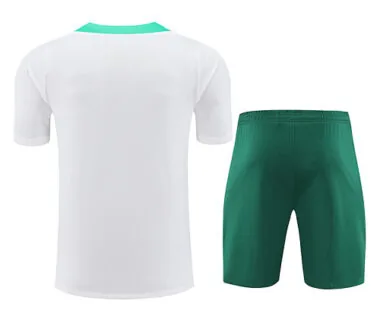 2024 Portugal Training Soccer Jerseys Football Shirts(5)