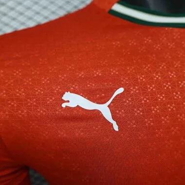 2025 Portugal Home Red Long sleeves Player Version Football AAAAJersey