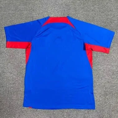 2024 Slovakia Home Kit UEFA Euro Shirt Football