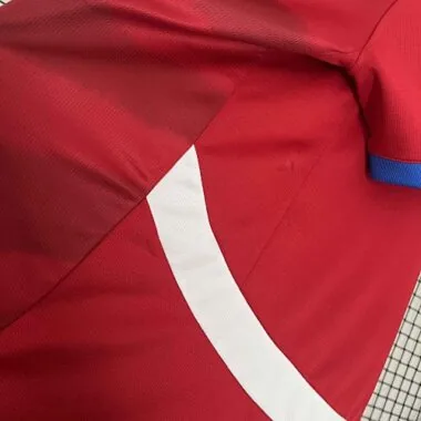 2024 Serbia Home Kit UEFA Euro Shirt Soccer Jerseys