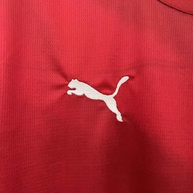2024 Serbia Home Kit UEFA Euro Shirt Soccer Jerseys