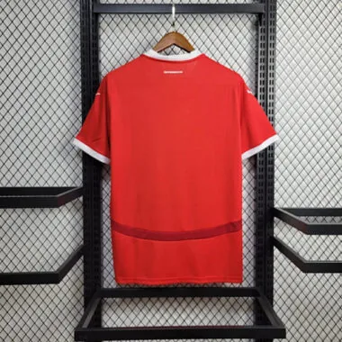 2024 Austria Home Kit UEFA Euro Shirt Football