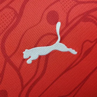 2024 Austria Home Kit UEFA Euro Shirt Football