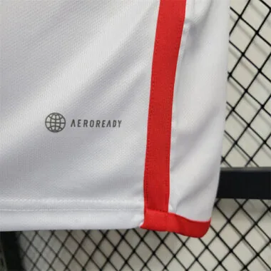 2023 Peru home