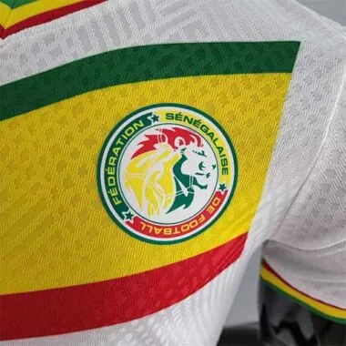 2022 Senegal home player version