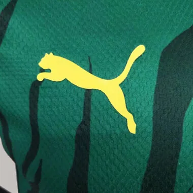 2022 Senegal green commemorative edition player version