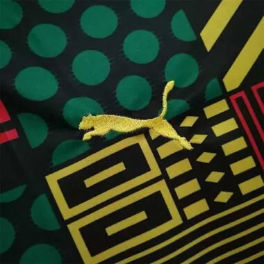 2022 Senegal green training suit