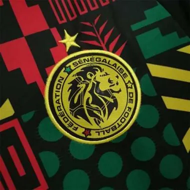 2022 Senegal green training suit