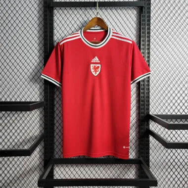2022 Wales home
