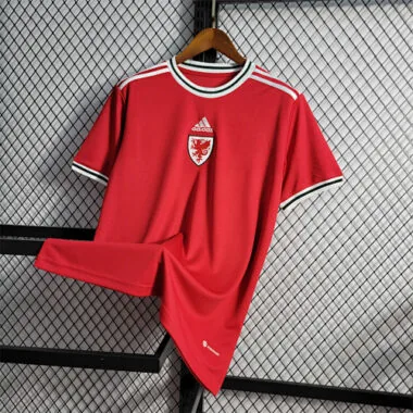 2022 Wales home