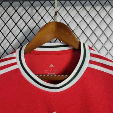 2022 Wales home