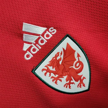 2022 Wales home