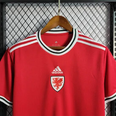 2022 Wales home