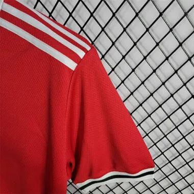 2022 Wales home