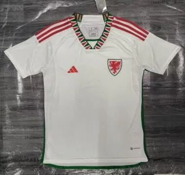 2022 Wales away