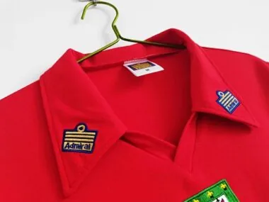 76-79 Wales home