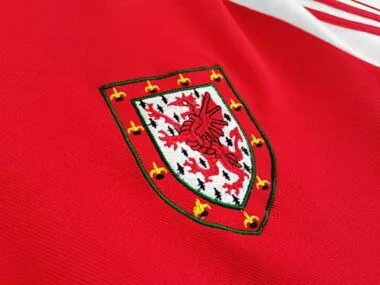 1982 Wales home