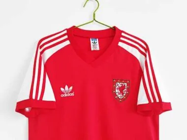 1982 Wales home