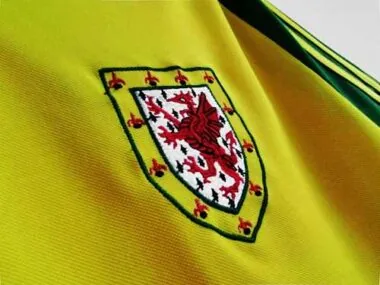 1982 Wales away