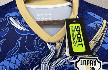 2024 Japan Blue Dragon Special Edition Kit Cheap Jerseys
