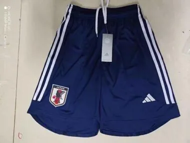 2022 Japan home