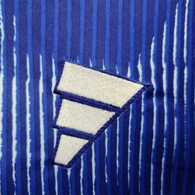 2022 Japan home