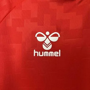2024 Denmark Home Kit UEFA Euro Shirt Football