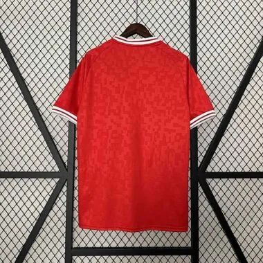 2024 Denmark Home Kit UEFA Euro Shirt Football