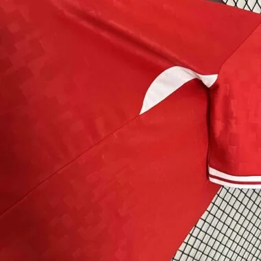2024 Denmark Home Kit UEFA Euro Shirt Football