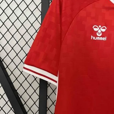2024 Denmark Home Kit UEFA Euro Shirt Football