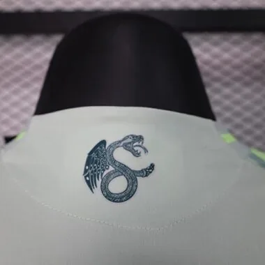 2024 Mexico Away Kit Player Version Shirt Jersey Supplier Yupoo