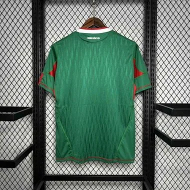 2010 Mexico home