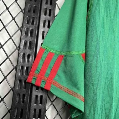 2010 Mexico home