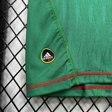 2010 Mexico home