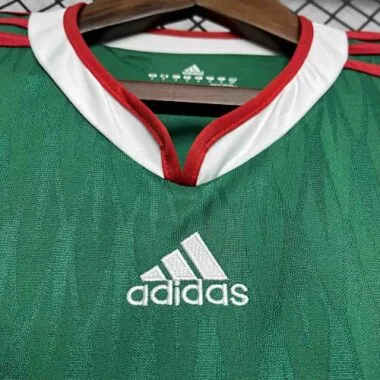 2010 Mexico home