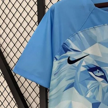 2024 Netherlands Lion Kit Special Edition Shirt Best Jerseys