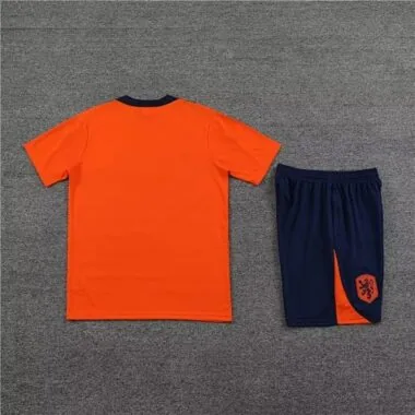 23-24 Netherlands Training Soccer Jerseys (1)