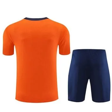 23-24 Netherlands Training Soccer Jerseys (1)