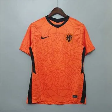 2020 Netherlands home