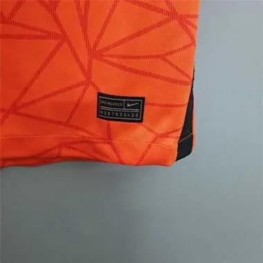 2020 Netherlands home
