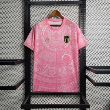 2024 Italy Special Edition Pink S-XXL Cheap Soccer Jerseys