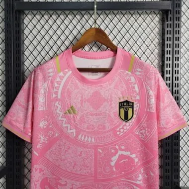 2024 Italy Special Edition Pink S-XXL Cheap Soccer Jerseys