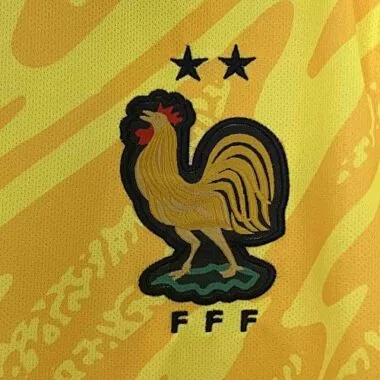 2024 France Goalkeeper Yellow Kit UEFA Euro Football