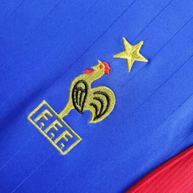 2006 France home