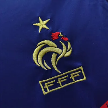 2010 France home