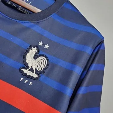 2020 France home