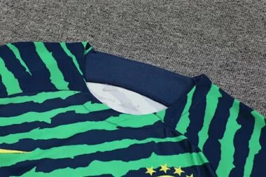 2022 Brazil Training Jersey Green