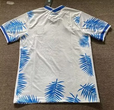 Speciale uitgave Brazilië