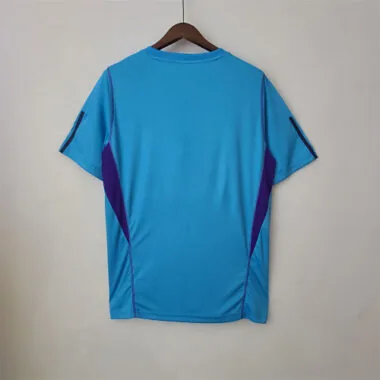 2022 Argentina Training Jersey Blue