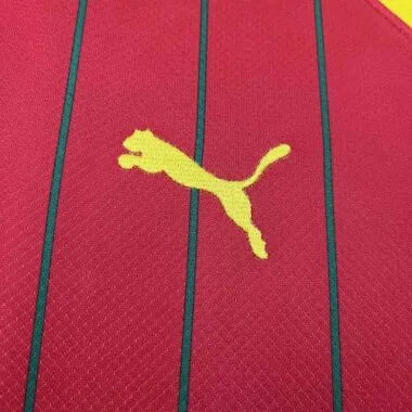 2024 Guinea Home Kit Cheap Jerseys